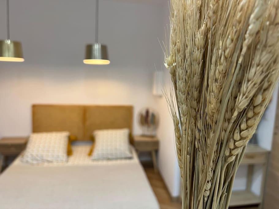 4M Studio Apartment Jouques Bagian luar foto